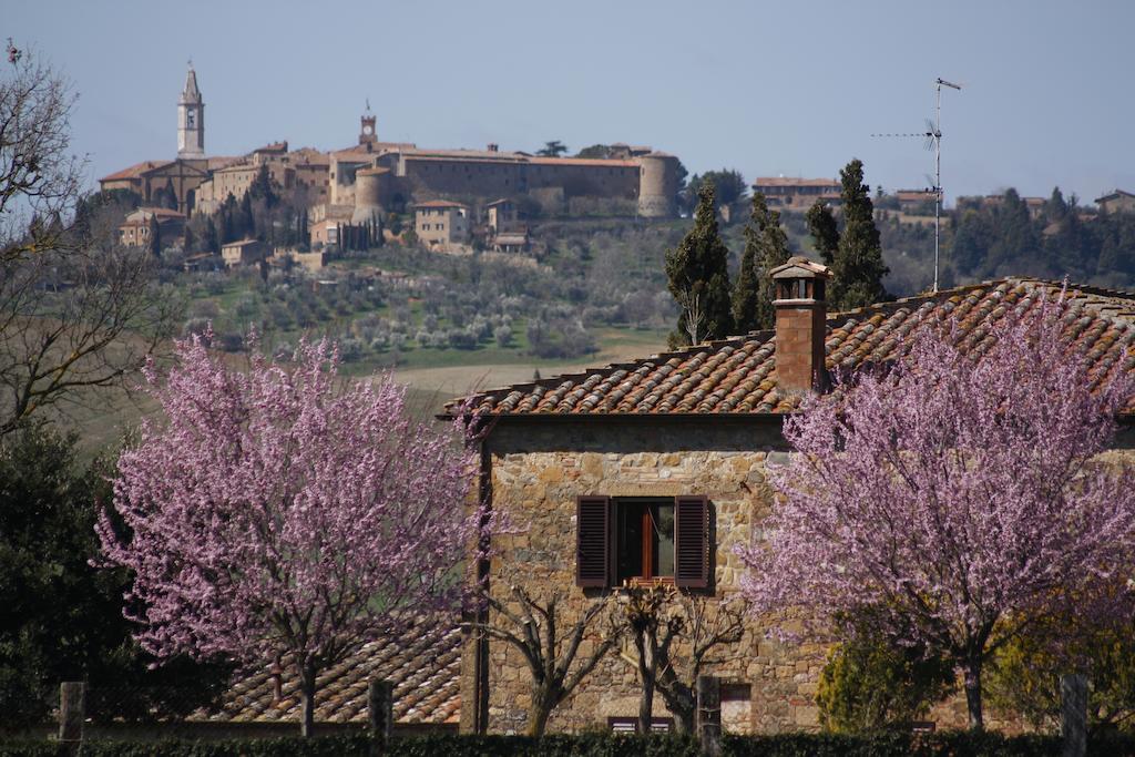 Agriturismo Casalpiano Pienza Dış mekan fotoğraf