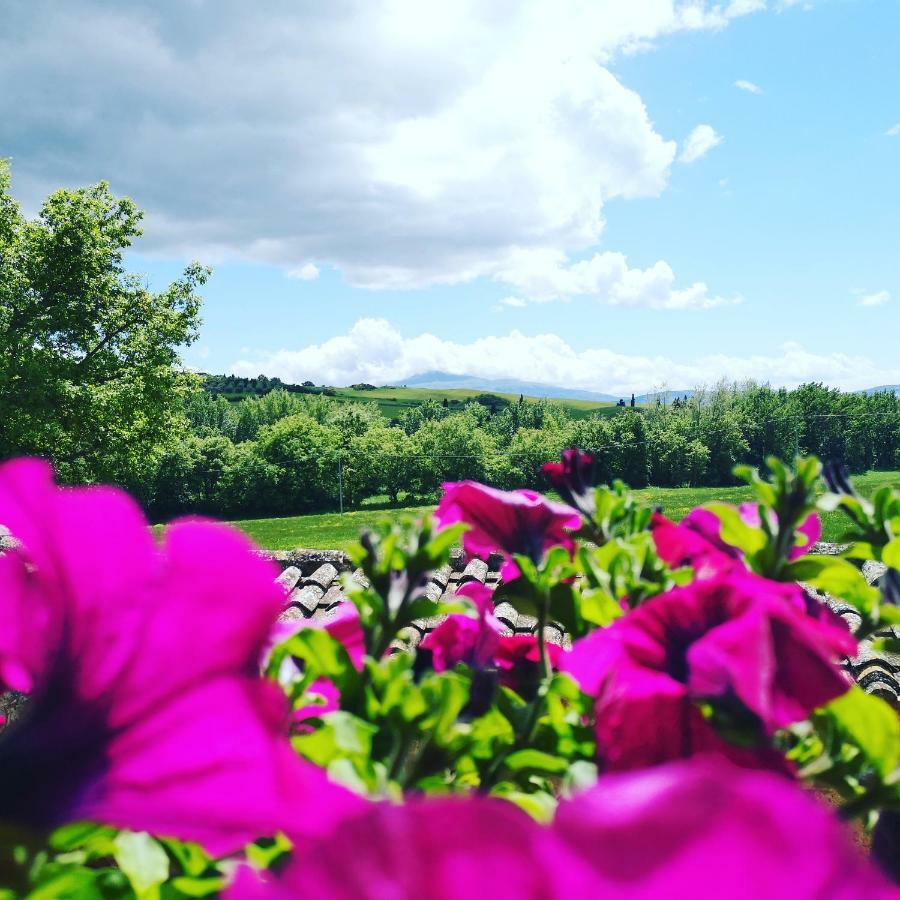 Agriturismo Casalpiano Pienza Dış mekan fotoğraf